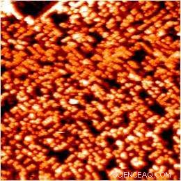 Oak Ridge Lab Uncovers Atomic‑Scale Structures on Oxide Interfaces Using Advanced Imaging