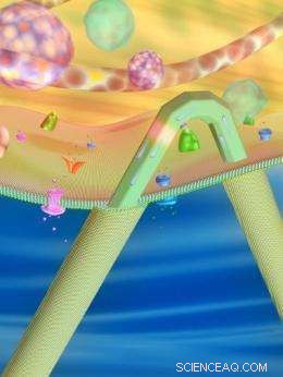 Advanced Nanoscale Transistors Enable Precise Intracellular Probing