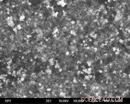 Rensselaer Researchers Unveil MRSA-Killing Nanocoat Paint