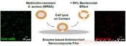 Rensselaer Researchers Unveil MRSA-Killing Nanocoat Paint