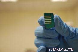 PolyU Researchers Pioneer Nanotech Breakthrough with Silver Nanoparticle Layer