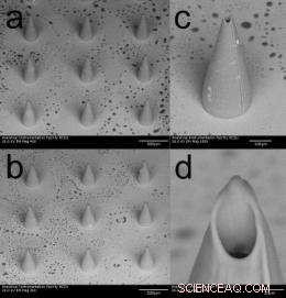 Microneedles and Quantum Dots Pave the Way for Innovative Cancer Diagnostics & Treatments