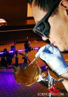 Georgia Tech Engineers Develop Novel Piezoelectric Logic Devices with Zinc Oxide Nanowires