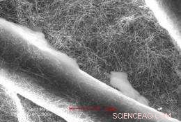 Revolutionary Low-Cost Water Filter Uses Electrified Nanostructures for High-Speed Purification