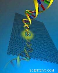Graphene: A Breakthrough for Faster DNA Sequencing