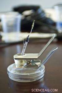 Revolutionary Self‑Assembling Solar Cells That Self‑Repair for Higher Efficiency