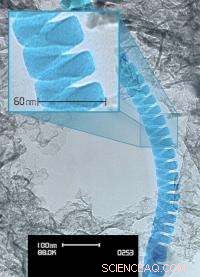 Nanosprings Boost Performance in Biomedicine and Electronics
