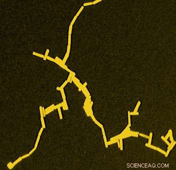 Gold Nanorods Precisely Assembled End-to-End via Solvent-Mediated Method