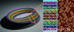 Engineering a Nanoscale DNA Möbius Strip: Advancing Molecular Design
