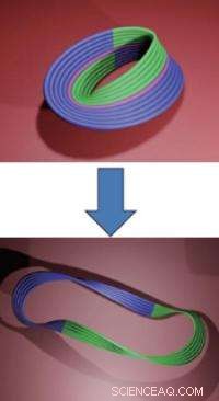 Engineering a Nanoscale DNA Möbius Strip: Advancing Molecular Design