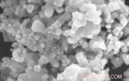 Innovative Methods Required to Assess the Safety of Nanotechnology Pesticides