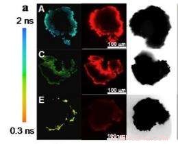 Customizable Nano-Assemblies with Tunable Optical Properties