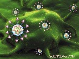 Advanced Nanoparticles Show Promise in Targeted Cancer Therapy