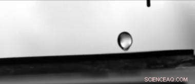 Unveiling the Beauty of Bouncing Water Droplets on Superhydrophobic Carbon Nanotube Surfaces