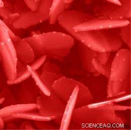 Argonne Scientists Witness First Real-Time Birth of Nanoparticles