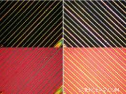 Scientists Refine Nanowire Fabrication Technique for Enhanced Electronic Performance