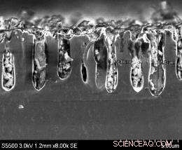 Innovative Silicon Approach Boosts Battery Capacity