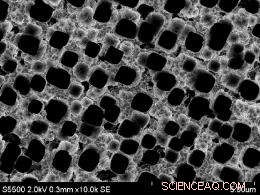 Innovative Silicon Approach Boosts Battery Capacity