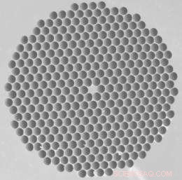 Computational Innovations Propel Biological Research