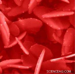 First Live Observation of Nanoparticle Formation