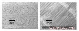 Smaller Nanotubes Boost Catalyst Performance in Viscous Environments
