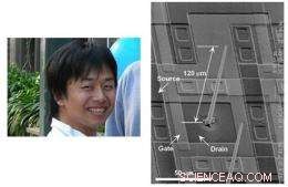 Micrometer-Scale Silicon Wires Achieve Precise Neural Recording