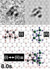 New Graphene Oxide  Pivoting Hooks  Promise to Transform Electron Microscopy
