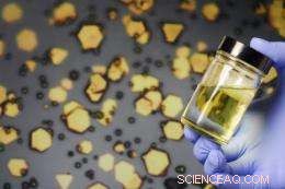 Organic Solvent System Enhances Catalyst Recycling and Opens New Nanomedicine Applications