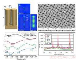 Advancing Raman Spectroscopy: Low-Concentration Substance Detection for Medical, Forensic, and Security Applications