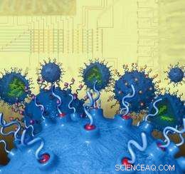 Scientists Develop Rapid, Cost‑Effective Nano‑Vehicles for Gene Delivery