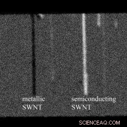 Advanced Imaging Tool Accelerates Nanoelectronics by Rapidly Screening Single-Wall Carbon Nanotubes