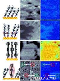 Advanced Nanoscale Probe Maps Surface–Molecule Interactions