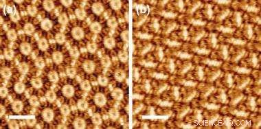 First-of-its-Kind: Building Blocks for Next-Generation Nano Devices