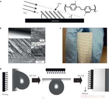 Scientists Mimic Nature to Engineer Advanced Nanofilms
