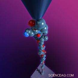 Rice Physicists Reveal Mechanism Behind Repetitive DNA Segments