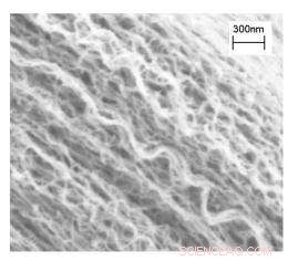 NASA Engineers Create Ultra‑Black Nanotubes That Absorb Light 10× More Effectively