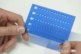 Rapid Sepsis Testing Saves Lives: Faster Diagnosis, Better Outcomes