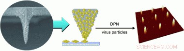 Nanoquill Writing: Porous Tip Dip-Pen Nanolithography Creates Virus-Based Nanopatterns