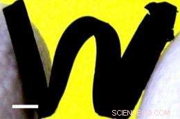 Novel Carbon Nanotube Rubber Maintains Flexibility Across 1,000°C Temperature Span
