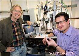 Unveiling Nanoscale Structural Distortions: Insights from Synchrotron Beamline X17A