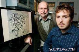 Innovative Tiny Catalyst Fabrication Promises Enhanced Air Quality