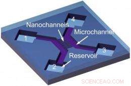 Tiny Nanochannels Transport Critical Information