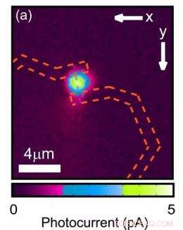High‑Performance Photodetectors Based on Single Quantum‑Dot Nanowires