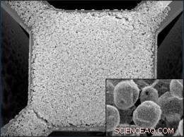 Purdue & NIST Develop Next-Gen Breathalyzers for Rapid Medical Diagnostics