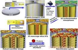 Innovative Mosaic Nanofilters for Precise Macromolecule Separation and Transport