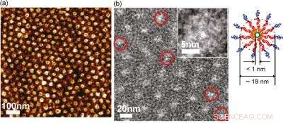 Self-Assembling Polymer Membranes with Molecular-Scale Channels