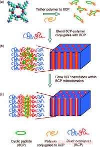 Self-Assembling Polymer Membranes with Molecular-Scale Channels