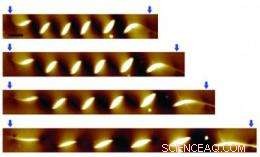 Coiled Silicon Nanowires Pave the Way for Next-Gen Stretchable Electronics