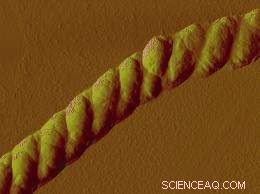 Self‑Braid Nanoscale Rope Advances Autonomous Nanomaterial Assembly