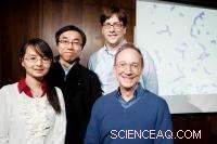 Self-Assembling Structures Unlock a New Class of Advanced Materials